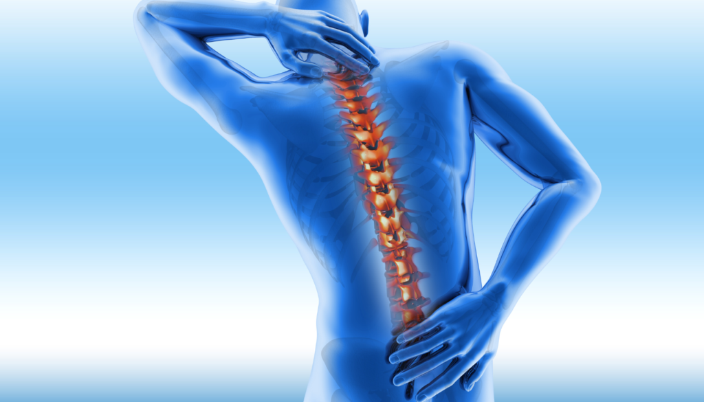 Osteoporosis- The Bone Density Solution Reviews: Jaw-Dropping Results! 2 Osteoporosis – the bone density solution
