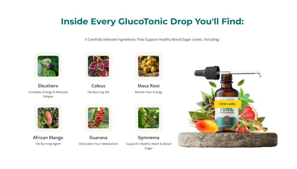 GlucoTonic Review: Shocking Truth About This Blood Sugar Support Formula! 3 GlucoTonic