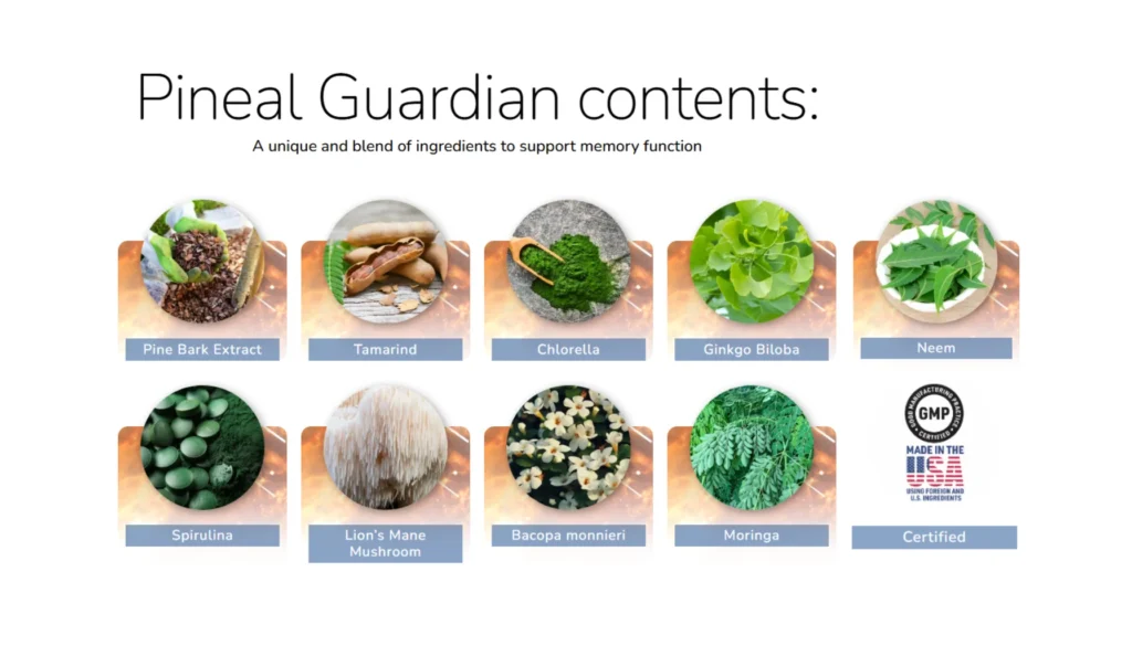 Pineal Guardian Review: Users Report Memory Boost in Just 7 Days! 3 Pineal Guardian