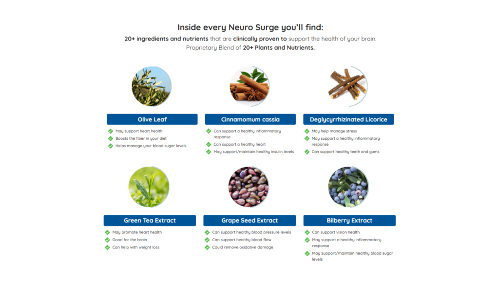 Neuro Surge Ultimate Review: What neurological condition causes brain fog? 3 3 1